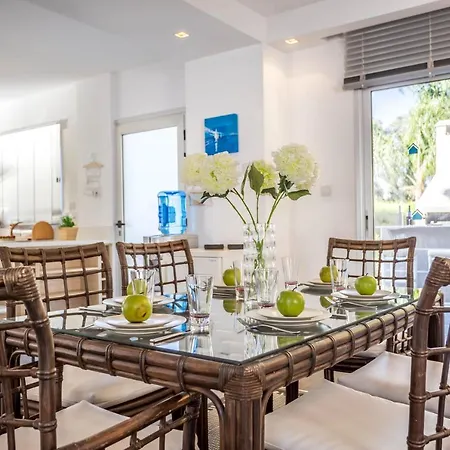 Hibiscus * 프로타라스