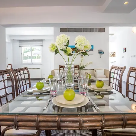 Hibiscus * 프로타라스