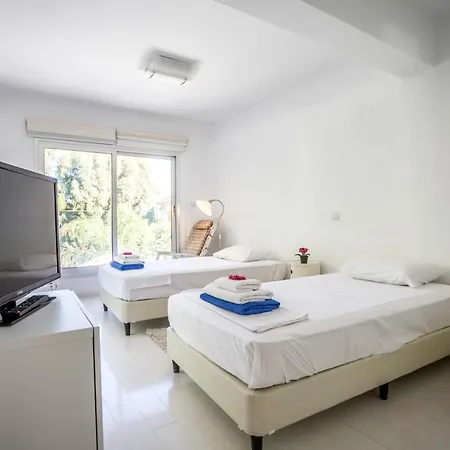 Hibiscus * 프로타라스