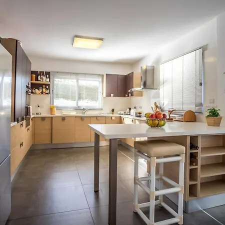 Hibiscus 프로타라스