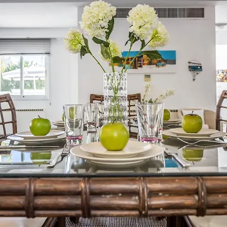 Hibiscus 프로타라스