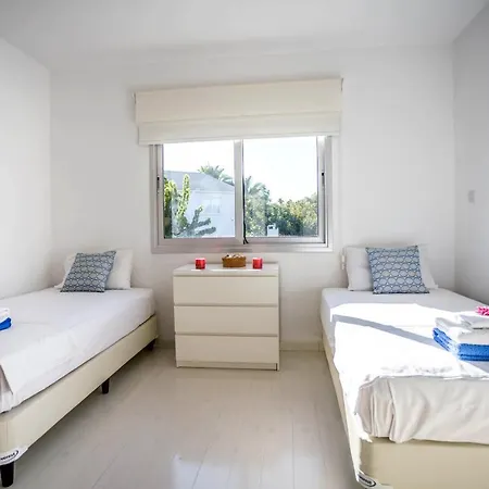 Hibiscus 프로타라스