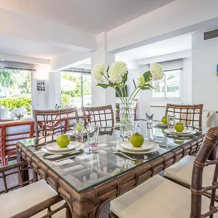 Hibiscus 프로타라스