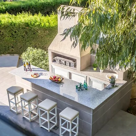 Hibiscus 프로타라스