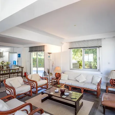 Hibiscus 프로타라스