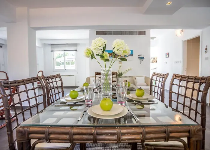 Hibiscus * 普罗塔拉斯