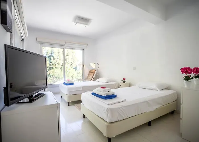 Hibiscus * 普罗塔拉斯