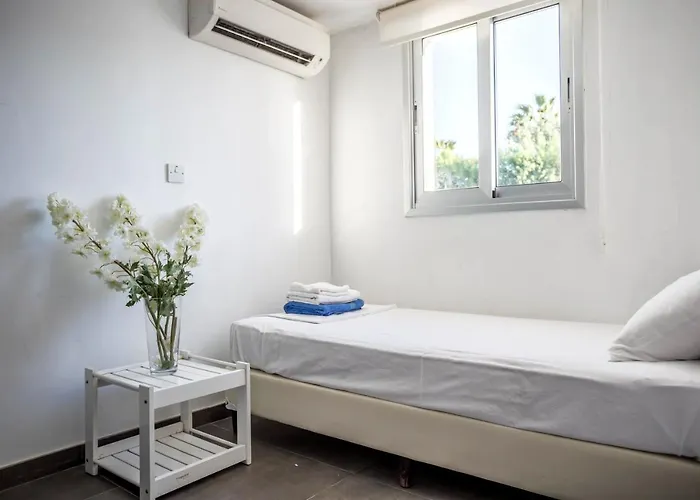 Hibiscus 普罗塔拉斯