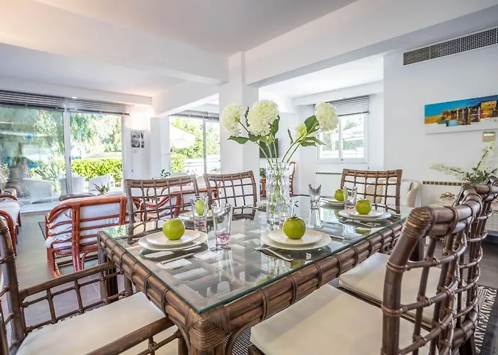 Hibiscus 普罗塔拉斯